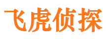 武山市私家侦探